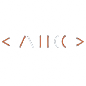 Algorithms and Coding Club, IIT Delhi